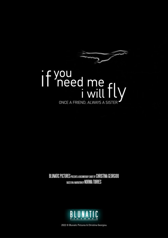 If you need me I will fly poster